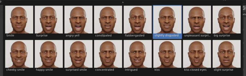 Several facial expression options for 3D characters. 