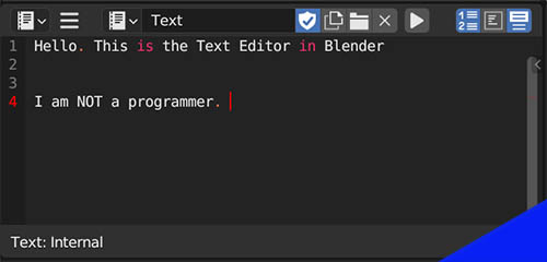The text editor window in Blender. 
